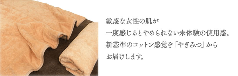 商品イメージ